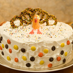 Breyers Turkey Ice Cream Cake