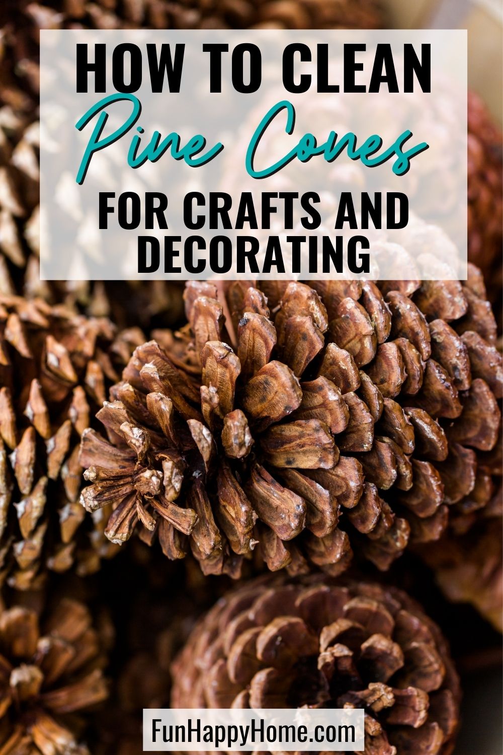 how-to-clean-pine-cones-and-prepare-them-for-decorating-and-crafts